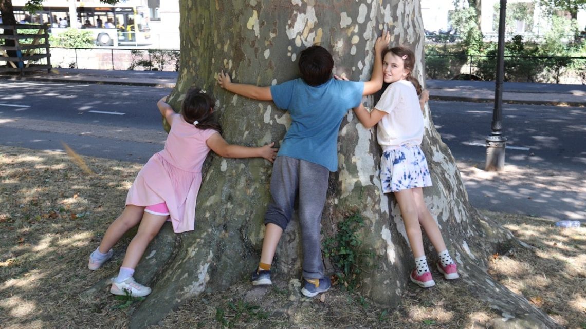 a group of children climbing a tree