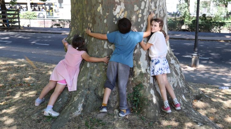 a group of children climbing a tree